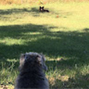 Meet your Posher, Shelly